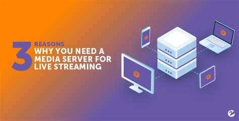 streaming media server hosting